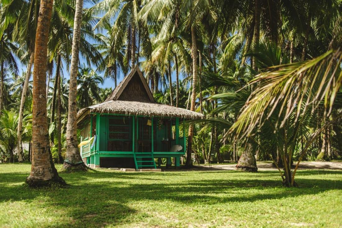Pacifico Bigwish Beach Resort San Isidro  エクステリア 写真